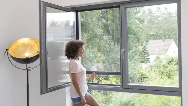 insektenschutz-am-fenster-Rollo-lichtblick-objekt
