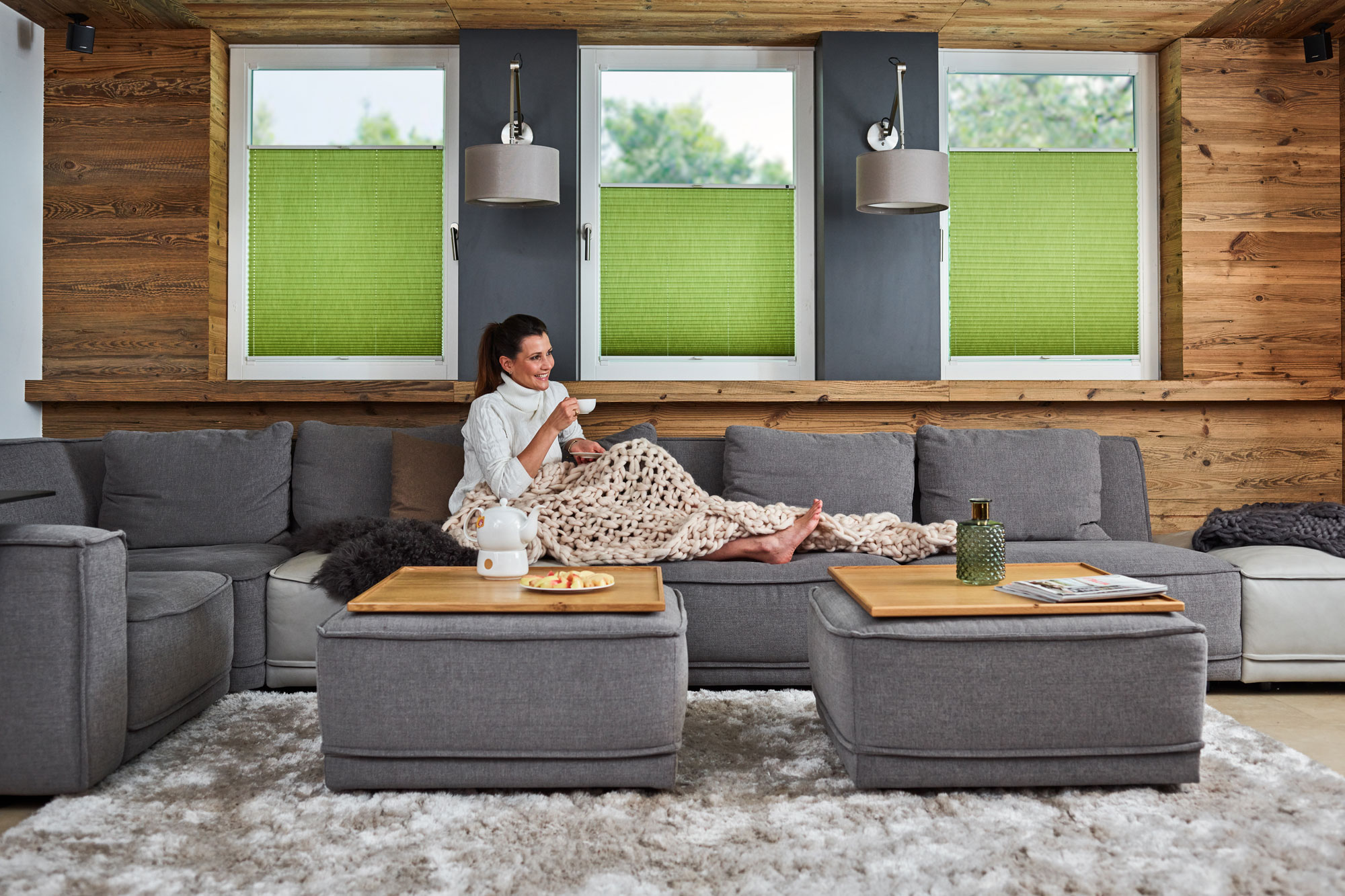 Plissees-gruen-auf-mass-wohnzimmer Plissees-gruen-auf-mass-wohnzimmer